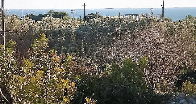 terreno agricolo in vendita a Castrignano del Capo in zona Santa Maria di Leuca