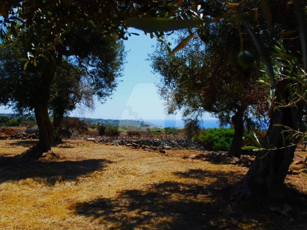 terreno in vendita a Castrignano del Capo