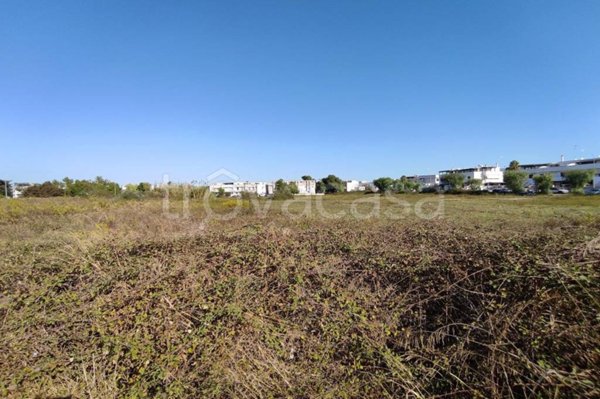casa indipendente in vendita a Cavallino