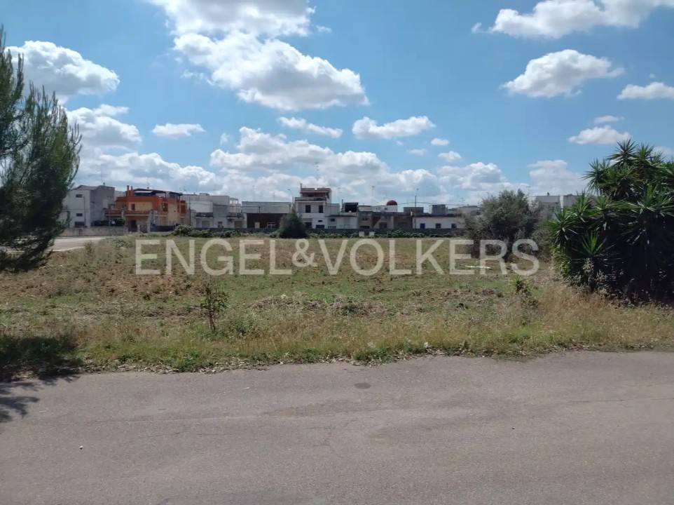 terreno agricolo in vendita a Cavallino