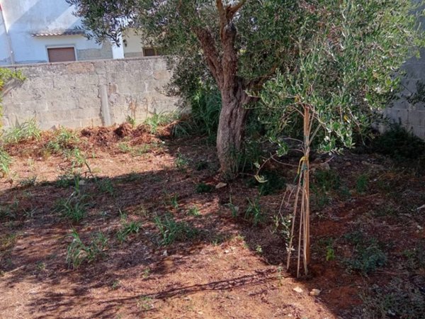 terreno edificabile in vendita a Cavallino