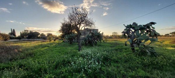casa indipendente in vendita a Cavallino