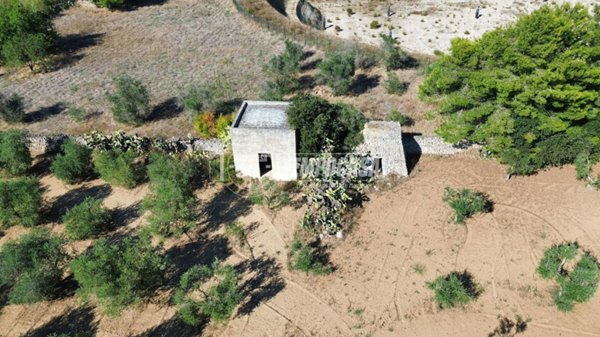 terreno agricolo in vendita a Cavallino