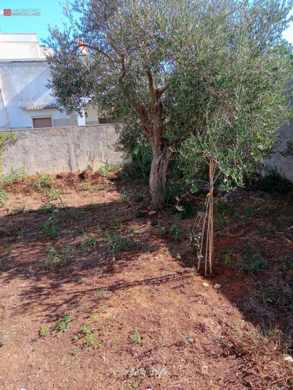 terreno edificabile in vendita a Cavallino