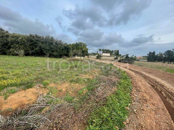 terreno agricolo in vendita a Cavallino
