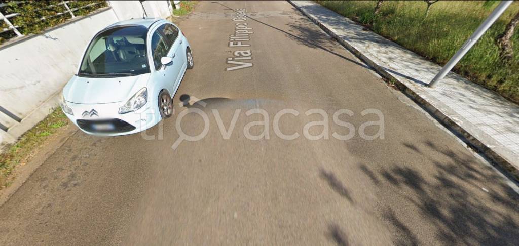 terreno agricolo in vendita a Cavallino