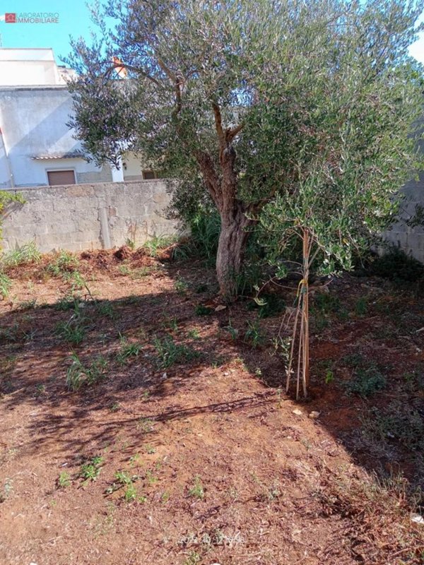 terreno edificabile in vendita a Cavallino