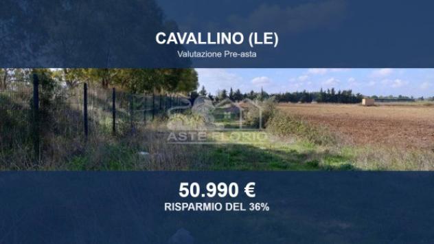 terreno agricolo in vendita a Cavallino