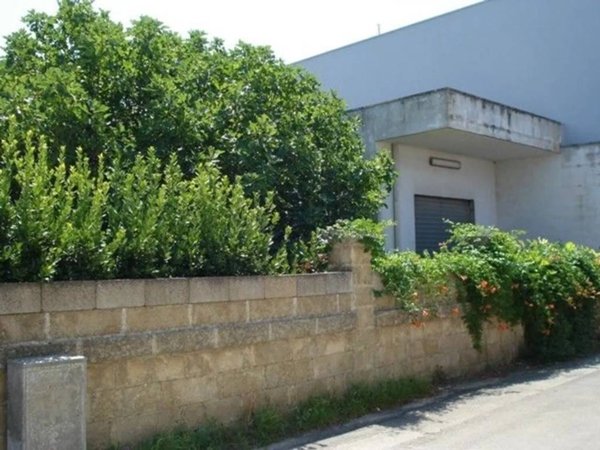 terreno agricolo in vendita a Collepasso