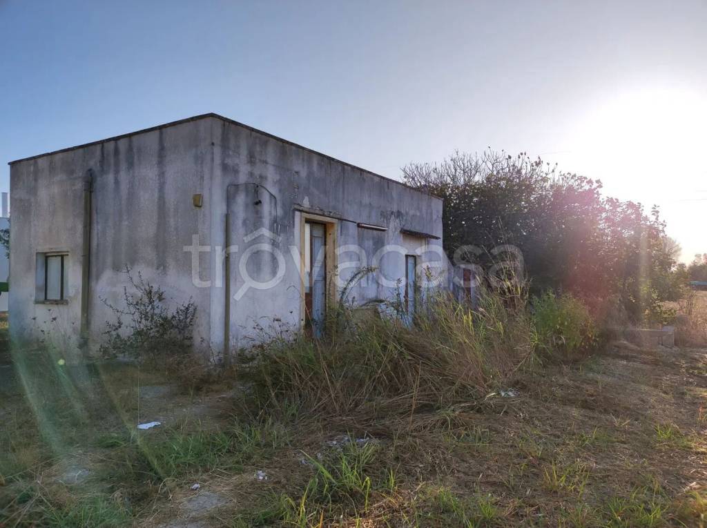casa indipendente in vendita a Collepasso