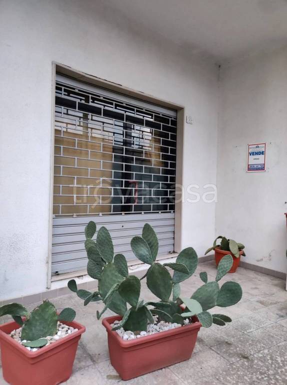 negozio in vendita a Collepasso
