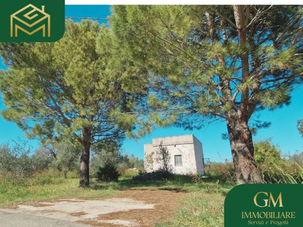 casa indipendente in vendita a Collepasso