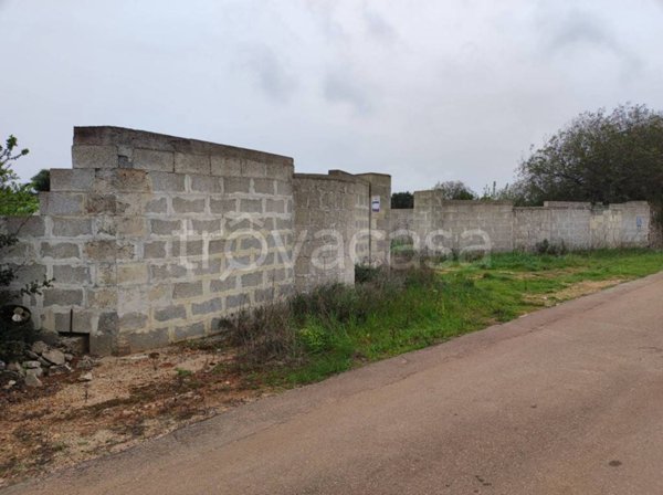 terreno agricolo in vendita a Collepasso