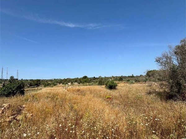 terreno agricolo in vendita a Collepasso