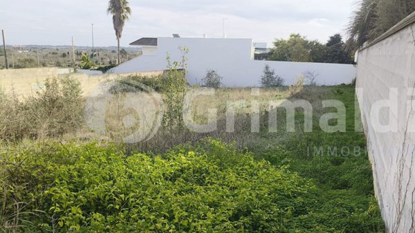 casa indipendente in vendita a Collepasso