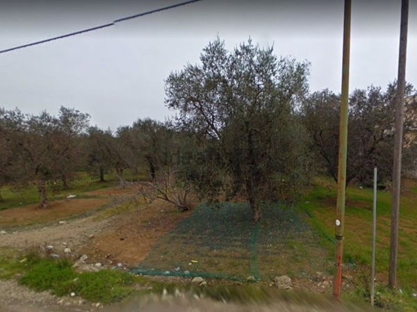 terreno edificabile in vendita a Collepasso