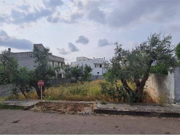 terreno agricolo in vendita a Collepasso