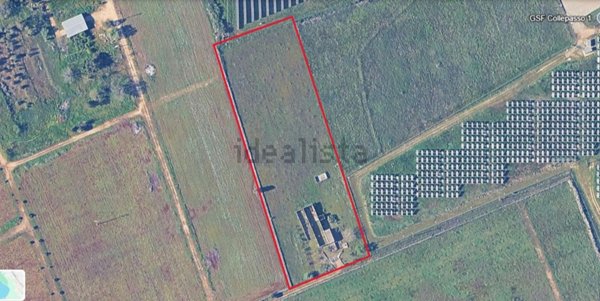 terreno agricolo in vendita a Collepasso