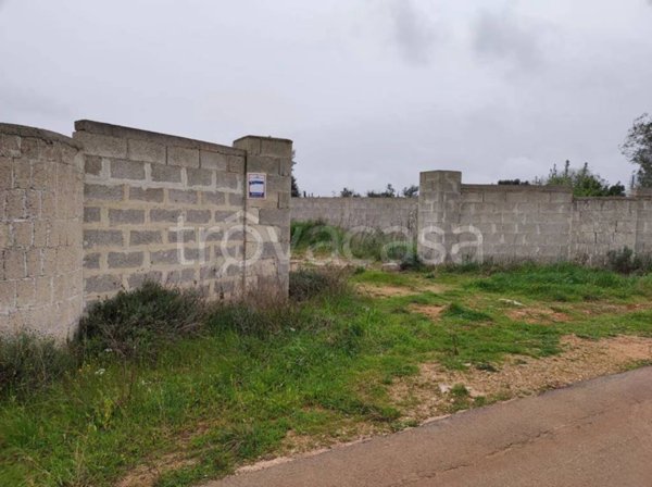 terreno agricolo in vendita a Collepasso
