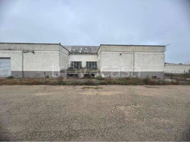 negozio in vendita a Collepasso