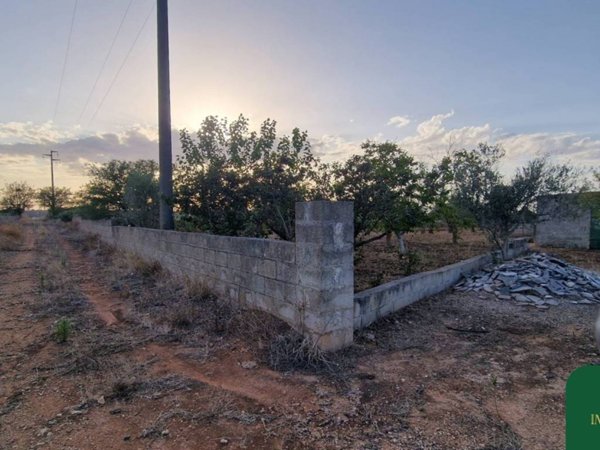 terreno agricolo in vendita a Collepasso