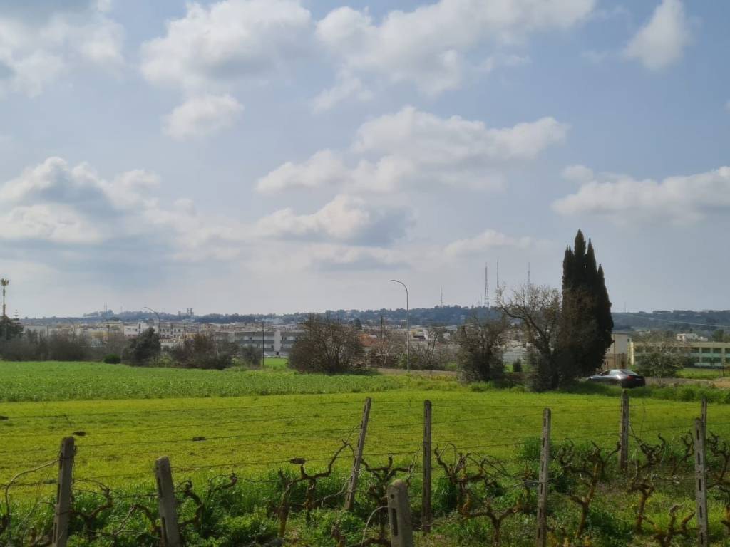 terreno agricolo in vendita a Collepasso