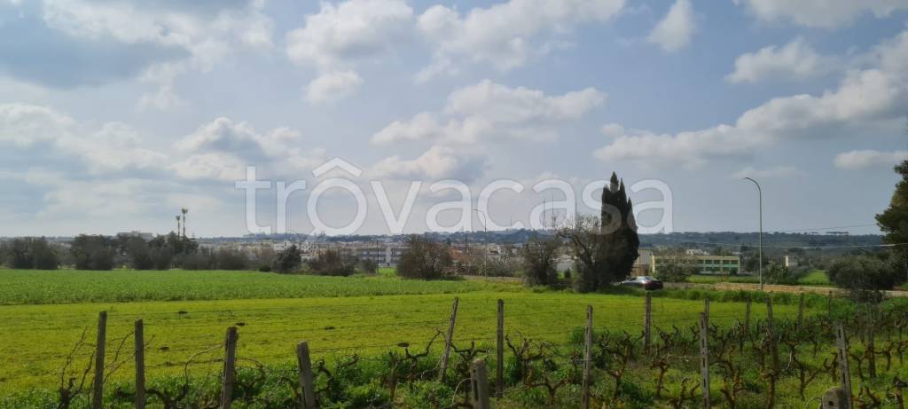 casa indipendente in vendita a Collepasso