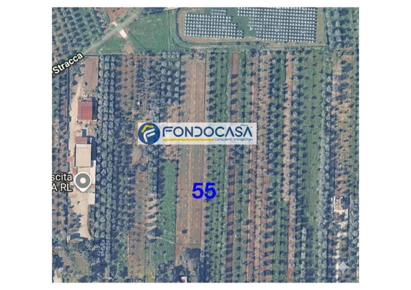 terreno edificabile in vendita a Collepasso