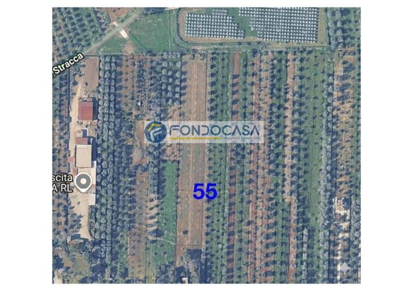 terreno edificabile in vendita a Collepasso