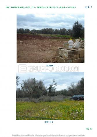 terreno agricolo in vendita a Collepasso
