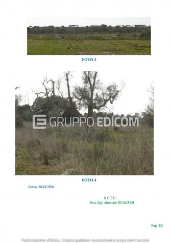 terreno agricolo in vendita a Collepasso