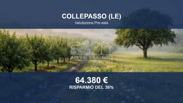 terreno agricolo in vendita a Collepasso