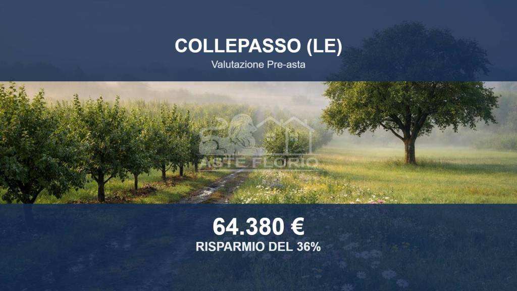 terreno agricolo in vendita a Collepasso