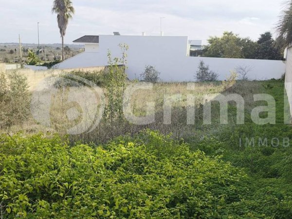 casa indipendente in vendita a Collepasso