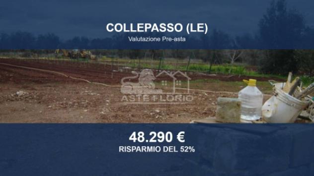 terreno agricolo in vendita a Collepasso