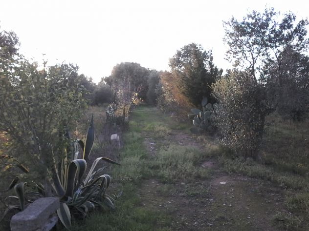 casa indipendente in vendita a Copertino