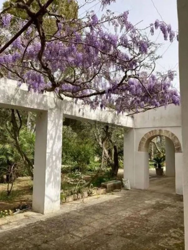 casa indipendente in vendita a Copertino