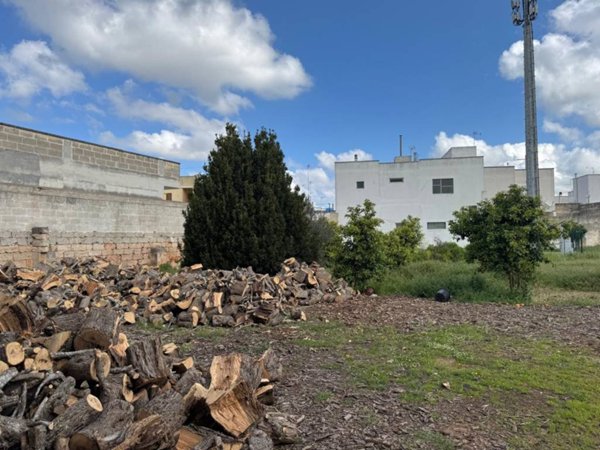 terreno agricolo in vendita a Copertino