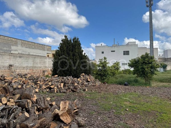 terreno agricolo in vendita a Copertino