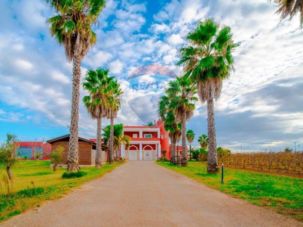 azienda agricola in vendita a Copertino