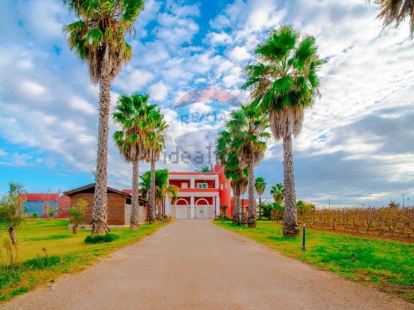 azienda agricola in vendita a Copertino