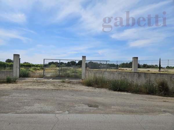 terreno agricolo in vendita a Copertino