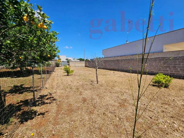 terreno agricolo in vendita a Copertino