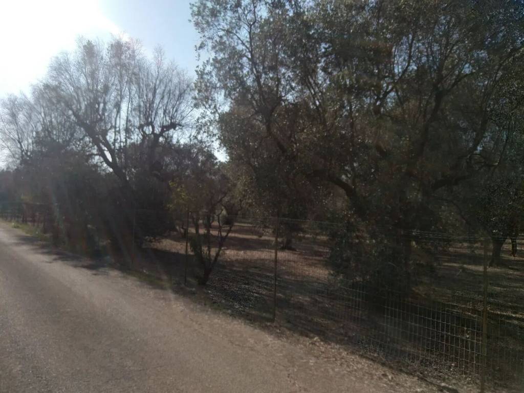 terreno agricolo in vendita a Copertino