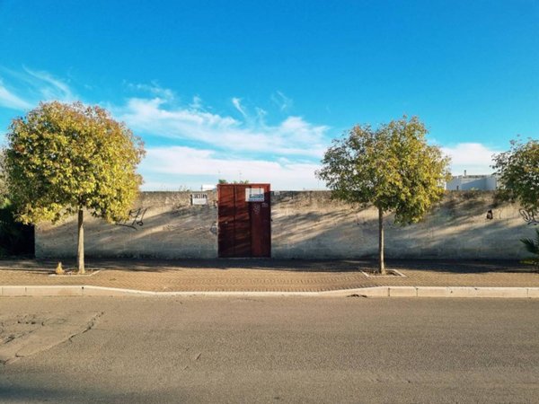 terreno agricolo in vendita a Copertino