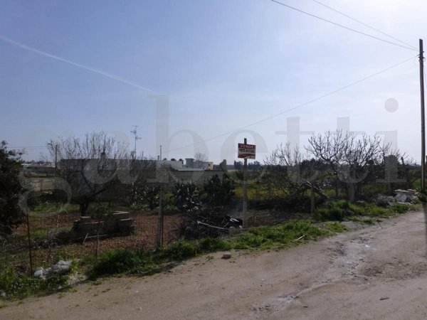 terreno agricolo in vendita a Copertino