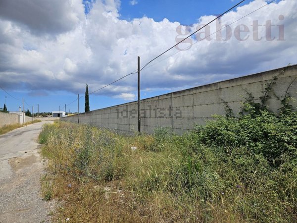 terreno agricolo in vendita a Copertino