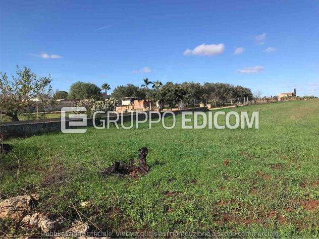 terreno agricolo in vendita a Copertino