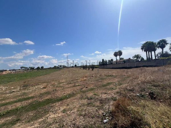 terreno agricolo in vendita a Copertino