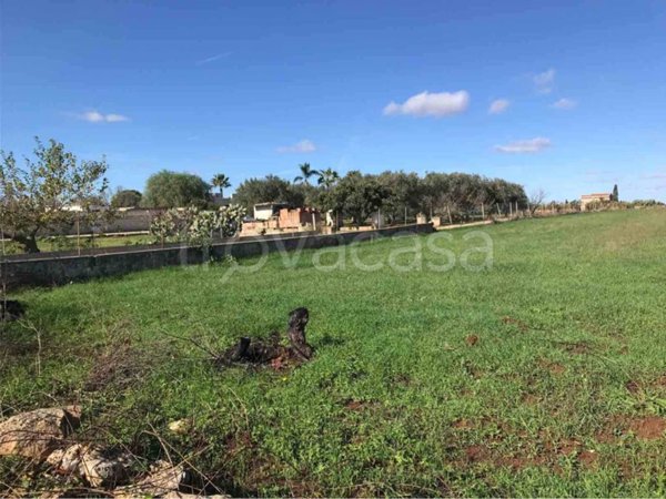 terreno agricolo in vendita a Copertino